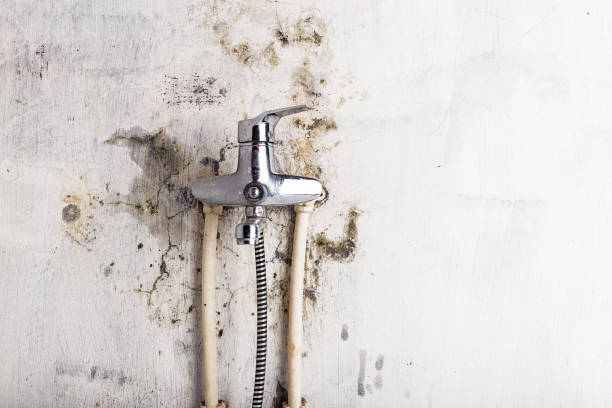 Best Mold Cleaning Services  in Lancaster, WI