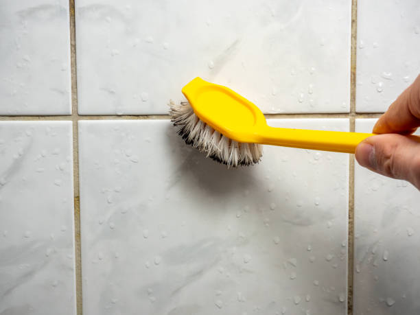 Best Attic Mold Removal  in Lancaster, WI