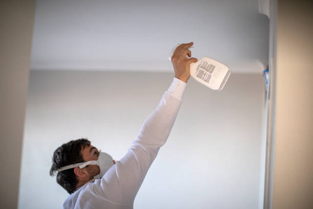 Best Professional Mold Removal  in Lancaster, WI