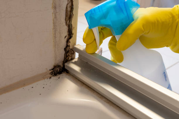 Crawl Space Mold Removal in Lancaster, WI