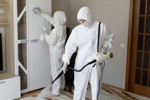 Certified Mold Removal in Lancaster, WI