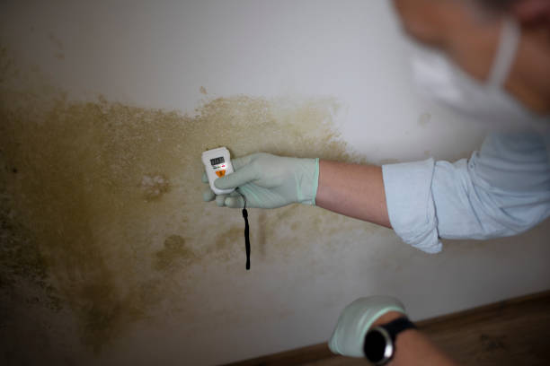 Best Fast Mold Removal  in Lancaster, WI