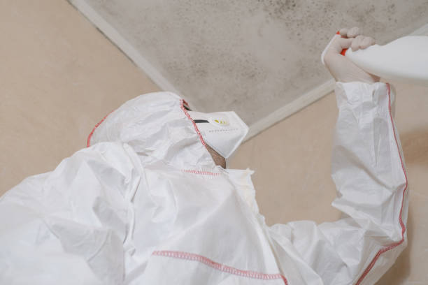 Best Black Mold Removal  in Lancaster, WI